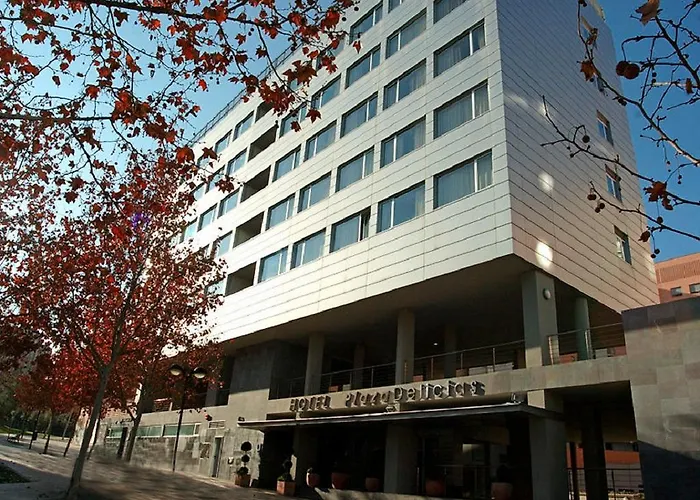 ホテル Exe Plaza Delicias