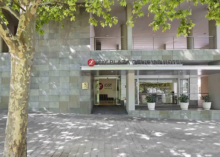 Exe Plaza Delicias Отель
