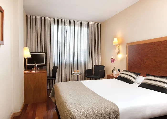 Exe Plaza Delicias Отель